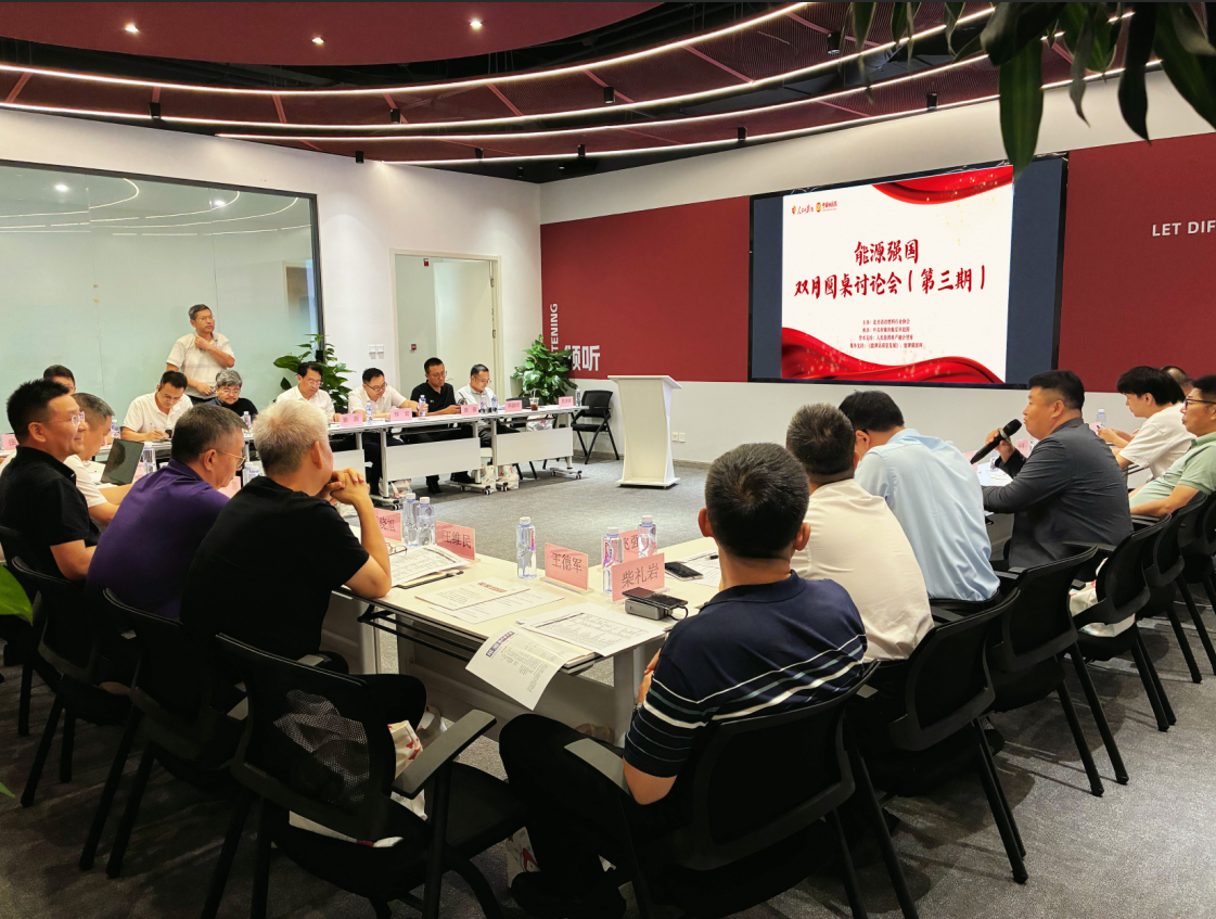 聚焦非电消纳  赋能绿色转型
