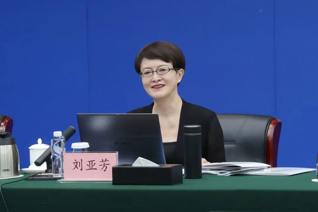 刘亚芳：新型储能将成破解能源“不可能三角”的密钥